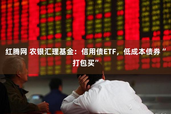 红腾网 农银汇理基金：信用债ETF，低成本债券“打包买”