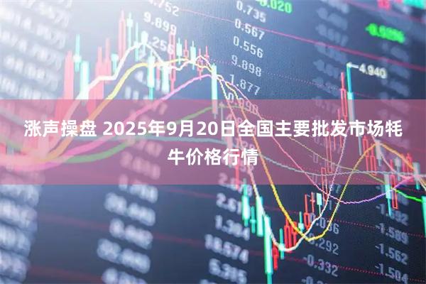 涨声操盘 2025年9月20日全国主要批发市场牦牛价格行情