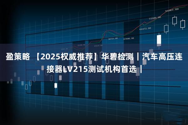 盈策略 【2025权威推荐】华碧检测｜汽车高压连接器LV215测试机构首选｜