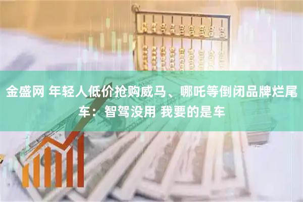 金盛网 年轻人低价抢购威马、哪吒等倒闭品牌烂尾车：智驾没用 我要的是车