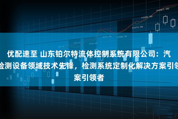 优配速至 山东铂尔特流体控制系统有限公司：汽车检测设备领域技术先锋，检测系统定制化解决方案引领者