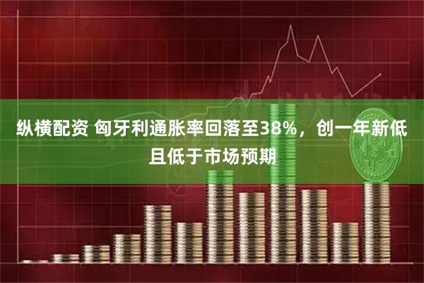 纵横配资 匈牙利通胀率回落至38%，创一年新低且低于市场预期