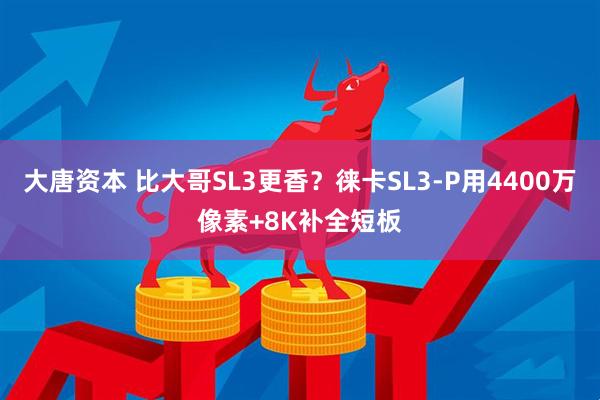 大唐资本 比大哥SL3更香？徕卡SL3-P用4400万像素+8K补全短板